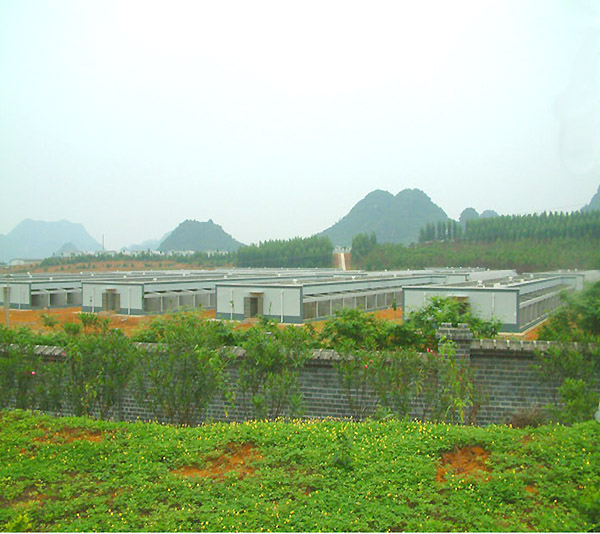 廣西瑋美公司動物中心采用外墻涂料裝飾系統(tǒng)